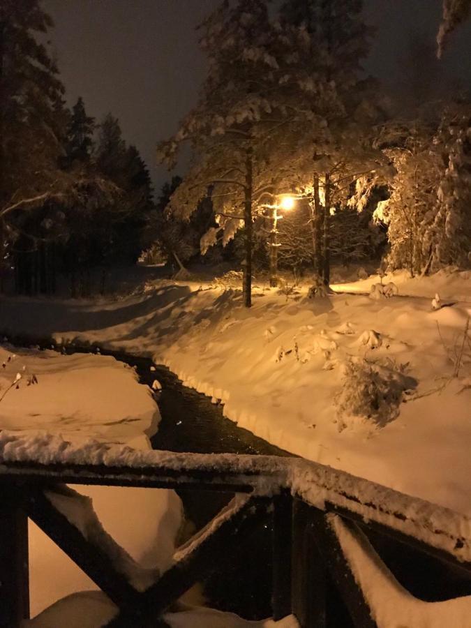 Dmk Villa Divčibare Buitenkant foto